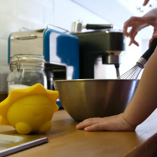 Cooking Companion