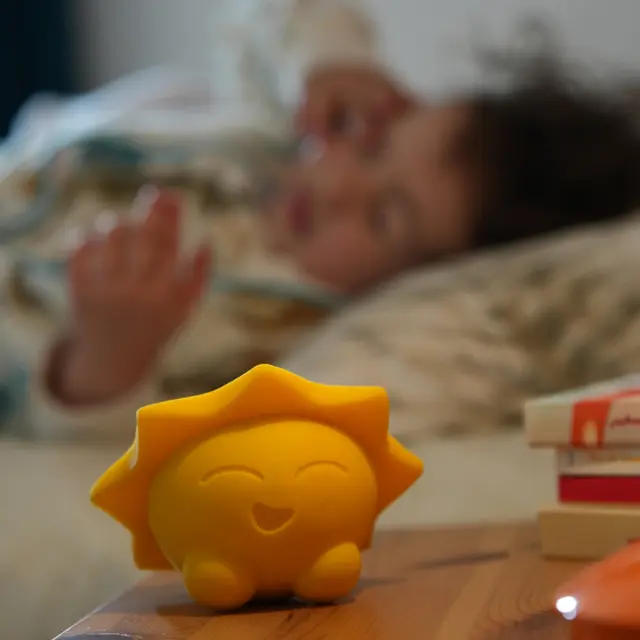 Sleep Companion